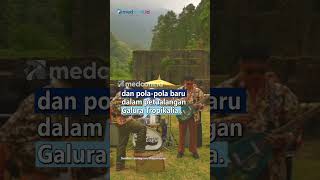 The Panturas Rilis Album Berbahasa Sunda Bertajuk Galura Tropikalia