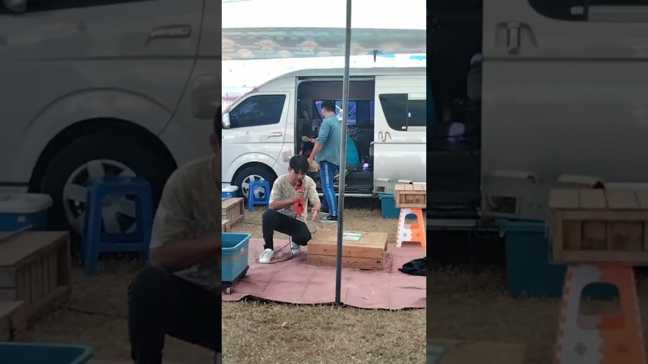 โชว์งู  ในงานกาชาด โชว์สุดคลาสสิค ที่หลายๆคนเคยดู#งานกาชาด #โชว์งู