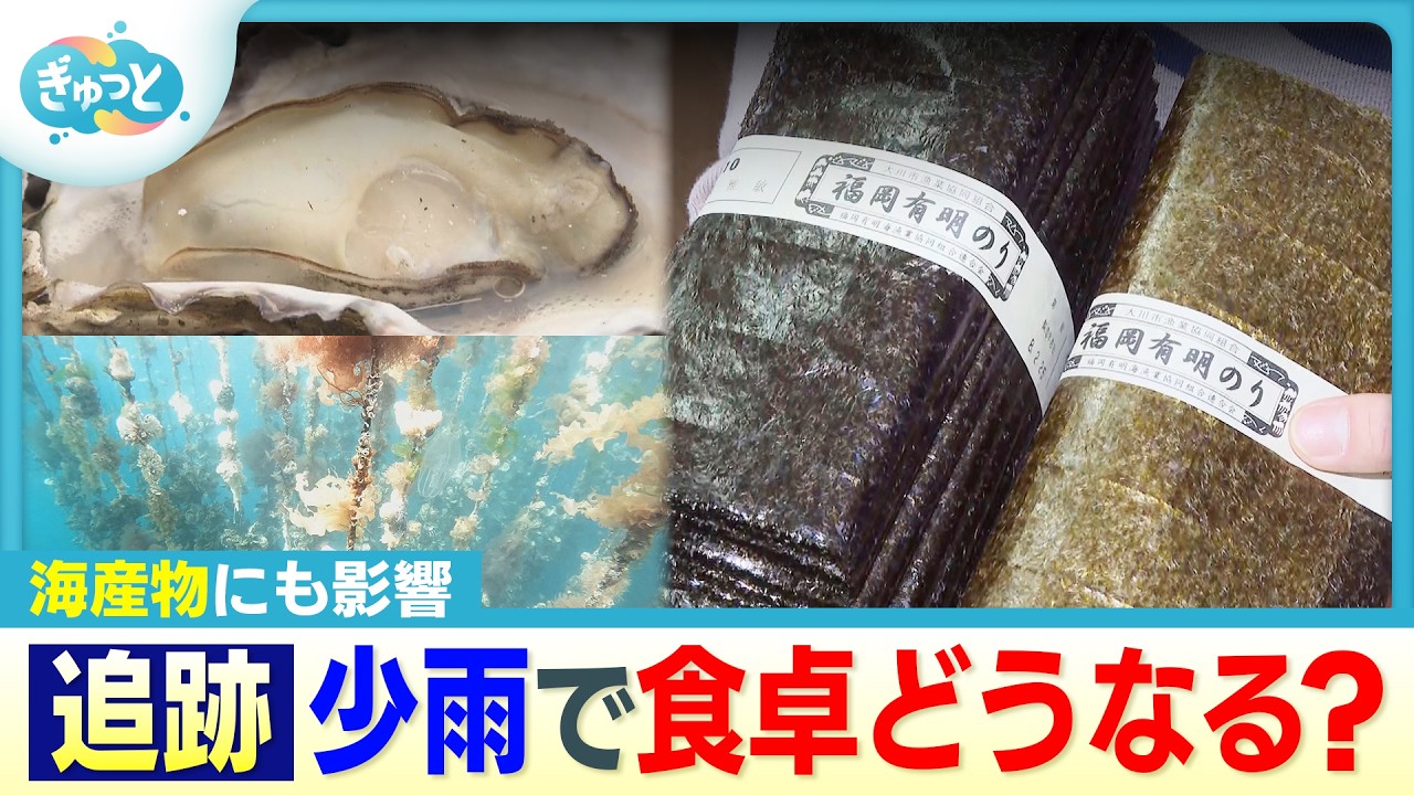 少雨の影響「海産物」にも【ぎゅっと】（2026年2月26日OA）