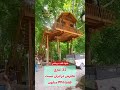 این کلبه درختی روی پنج عدد درخت بدون اسکلت فلز و تمام چوب هست 