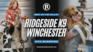 Why Dog Owners Choose Ridgeside K9 Winchester for Boarding 🔥 #dogboarding #ridgesidek9
