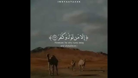 افلا ينظرون إلى الإبل كيف خلقت  تلاوة خاشعة