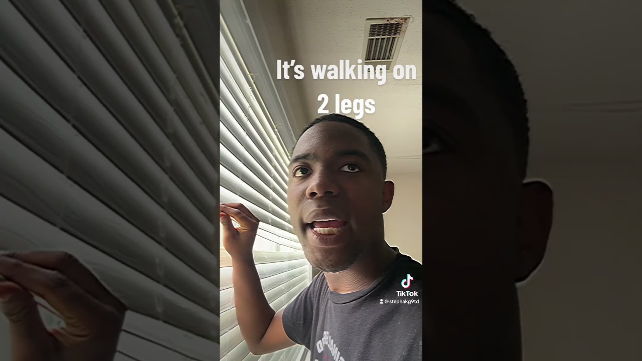 When You See A Deer Walking On Two Legs