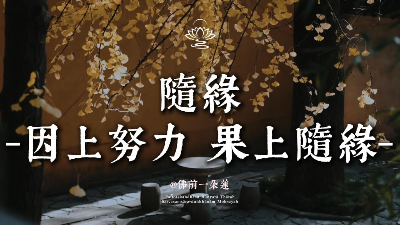 無論結局如何，都是因緣最好的安排| 佛前一朵蓮 