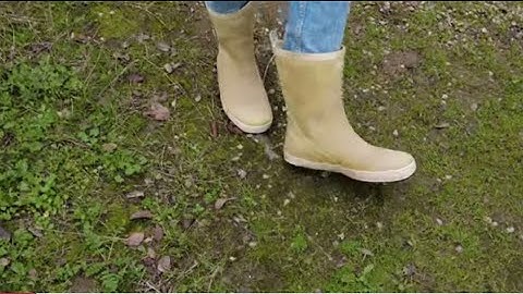 Community Creation: Belonging in a Fragmented World #agroforestry 