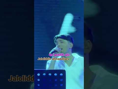 QO'QONLIK - Ajoyib qo'shiq va ajoyib ijro (2024-yilgi konsertdan lavha)