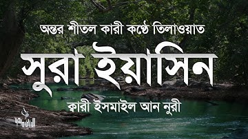সূরা ইয়াসিন ( سورة يس‎) - অত্যন্ত দরদী তেলাওয়াত Surah Yasin । By ismail An Nuri