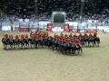 RCMP Musical Ride