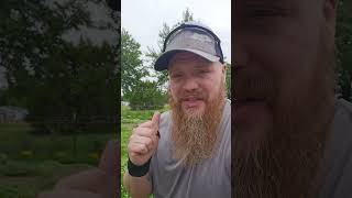 🌿 DIY Natural Weed Killer Spray Recipe | Safe, Cheap & Works FAST! 🌱💥#DIYWeedKiller