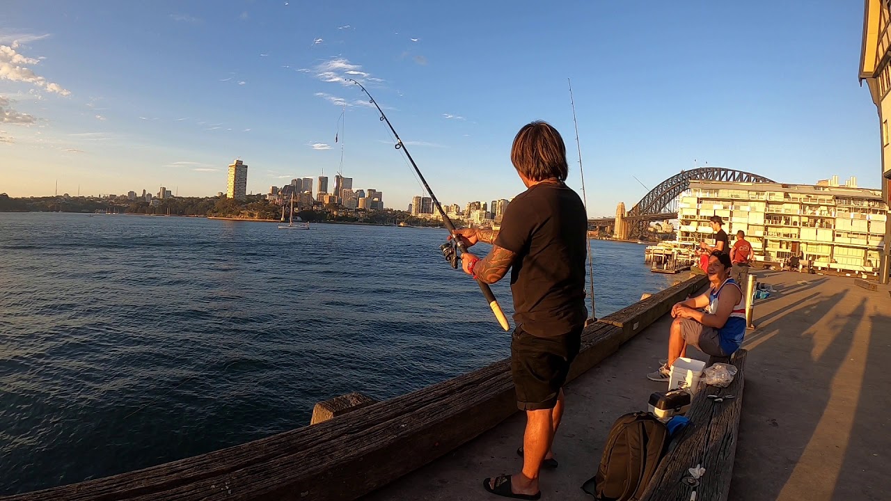 pier 8 sydney fishing YouTube