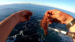 Una tarde de Surfcasting & Rockfishing en las profundidades.