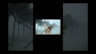 Todays news… #capcut #notmine