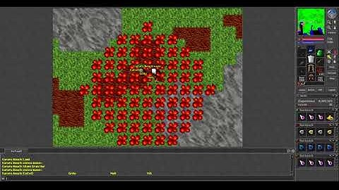 Old Tibia - MS 81 pking in Grimera - Cururu Aouch (7.5 2005)