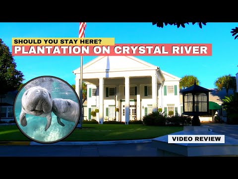 Vidéo: Crystal River, Floride: 10 Choses Que Vous Apprendrez En Voyageant Ici