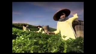 Download lagu Iklan Teh Gelas - Segarnya Alami Kebaikan [with Ananda Omesh] [Versi 1]