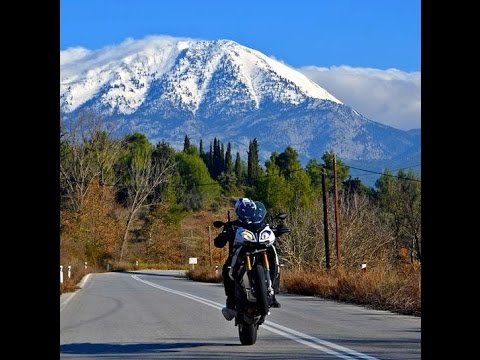 Moto in Action