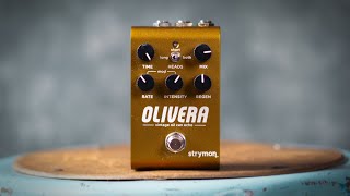 Strymon Olivera: Your SECRET Weapon for Magical Echoes