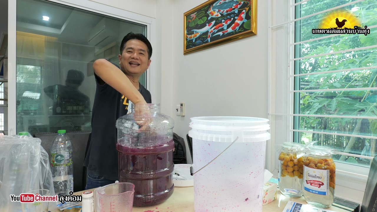 วิธีทำไวน์ลูกหว้า ง่ายๆ  ไม่ต้มไม่น๊อคยีสต์