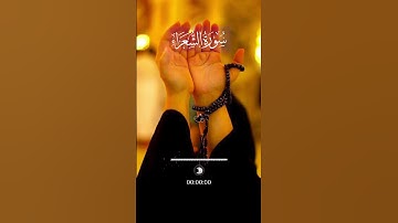 #قران_كريم #المصحف #صلوا_على_النبي #راحة_نفسية #حالات_واتساب #تلاوة_خاشعة #تلاوة_نادرة_لاول_مرة