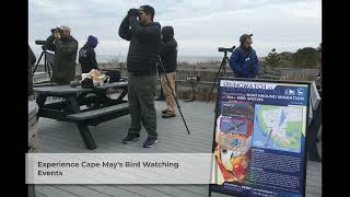 Discover Cape May: America's Quintessential Seaside Resort