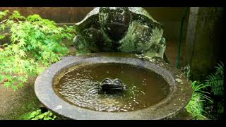Deep Focus Zen Meditation (20 Min) | Japanese Zen Music for Inner Peace