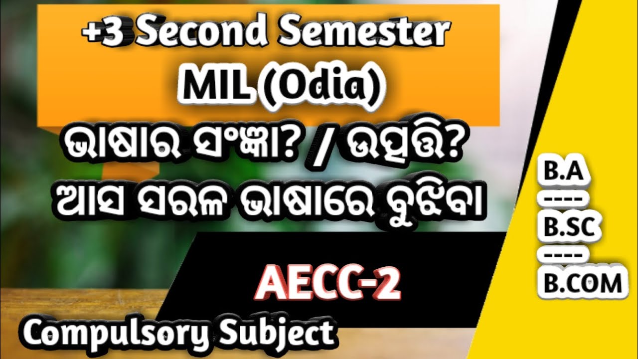ODIA ELECTIVE BOOK PDF 2ND SEMESTER visual data 6