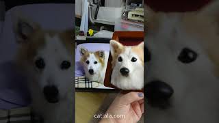 Eternal Pawprints: Handcrafting a Wool Frame in Memory of a Furry Friend