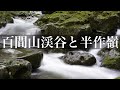 百間山渓谷と半作嶺【登山】紀州路20景No.1の秘境【和歌山県】