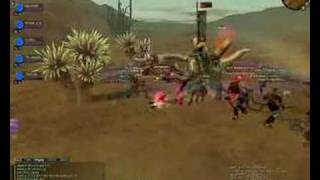 Kammala vs Uruchi !