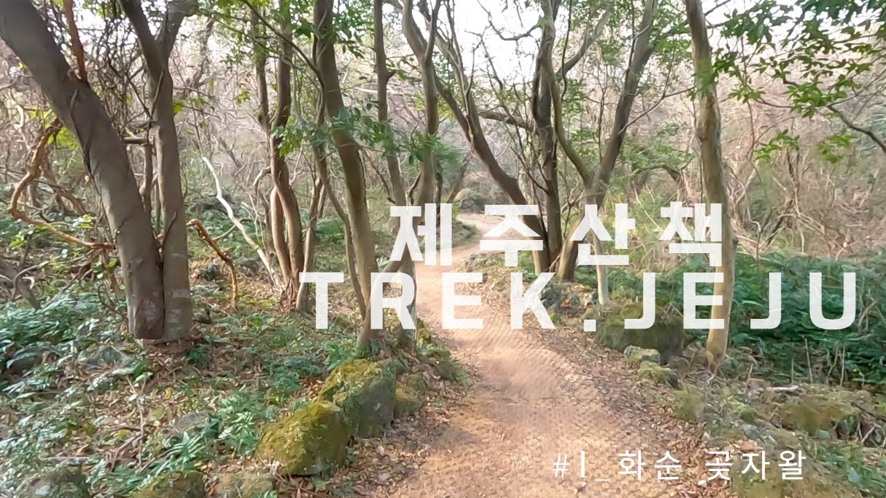 #1_제주 화순곶자왈 걷기 | 힐링 | 명상 | meditation | relax | sleepsound | asmr | 수면소리 | 제주도 | 제주숲길 | 산책
