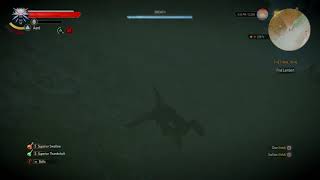 The Witcher 3 Wild Hunt Roach Underwater Bug