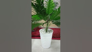 تلاوة خاشعة / عبدالهادى كناكري