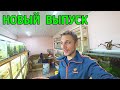 О разном с разводни. Вечерний выпуск