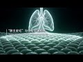 TCM "Zang-Fu" &"Organs"