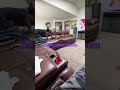 Dobie Butt zoomies