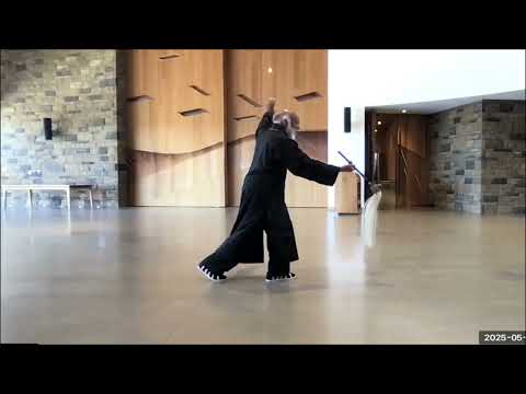 Fu Chen Tai Chi Demo
