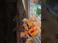 Shopping at Brussels' Asian Market Kam Yuen