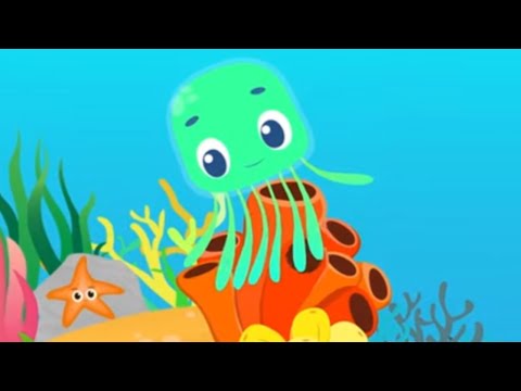 Jelly Time! | 1 hour Compilation | Animated Fish Videos for Kids