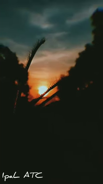 Video aestetic sunrise || cocok buat story wa