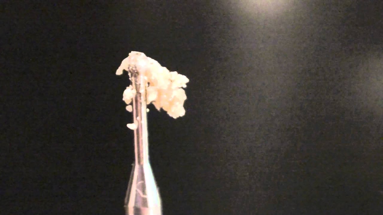 Sour OG Co2 Budder Review