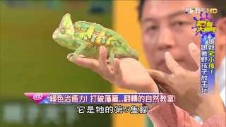 搶救宅小孩! 跟著野孩子放手玩 讚聲大國民 20151023 (1/3)