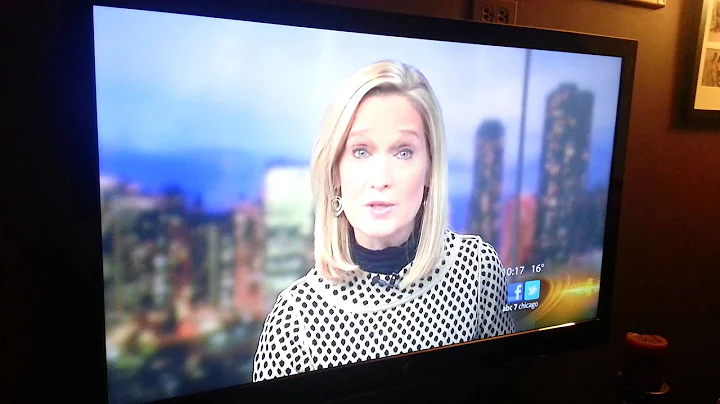 Sarah Schulte of ABC7- Best Blooper Ever!