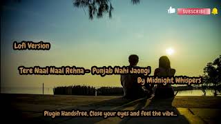 Tere Naal Naal | Lofi Version | #lofi #tiktok #Slowed #reverb #viral #trending #shorts #pakistan
