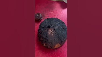 Removing Coconut Meat from its Shell 🥥 | Quick Hack #shorts