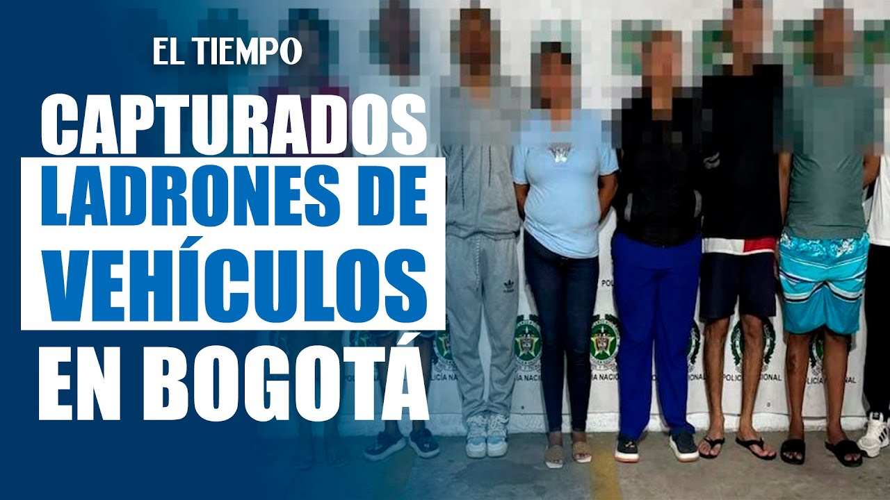 Capturaron a 12 integrantes de banda que robó 20 vehículos | EL TIEMPO