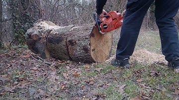 Echo cs-620 32" bar noodling oak 60cc!