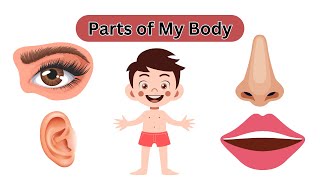 Learn Parts of My Body for Toddlers | English Vocabulary | Human Body Parts