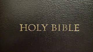Understanding Daniel 2 43
