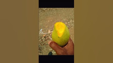 POV: you open camera roll 😉♥️🇵🇬🇵🇬 #pngofficial #png