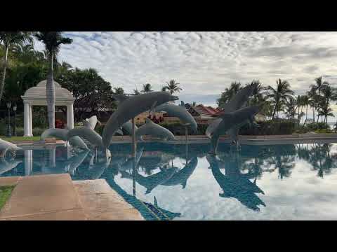 ASMR - Rainy Day In Hawaii [no talk]